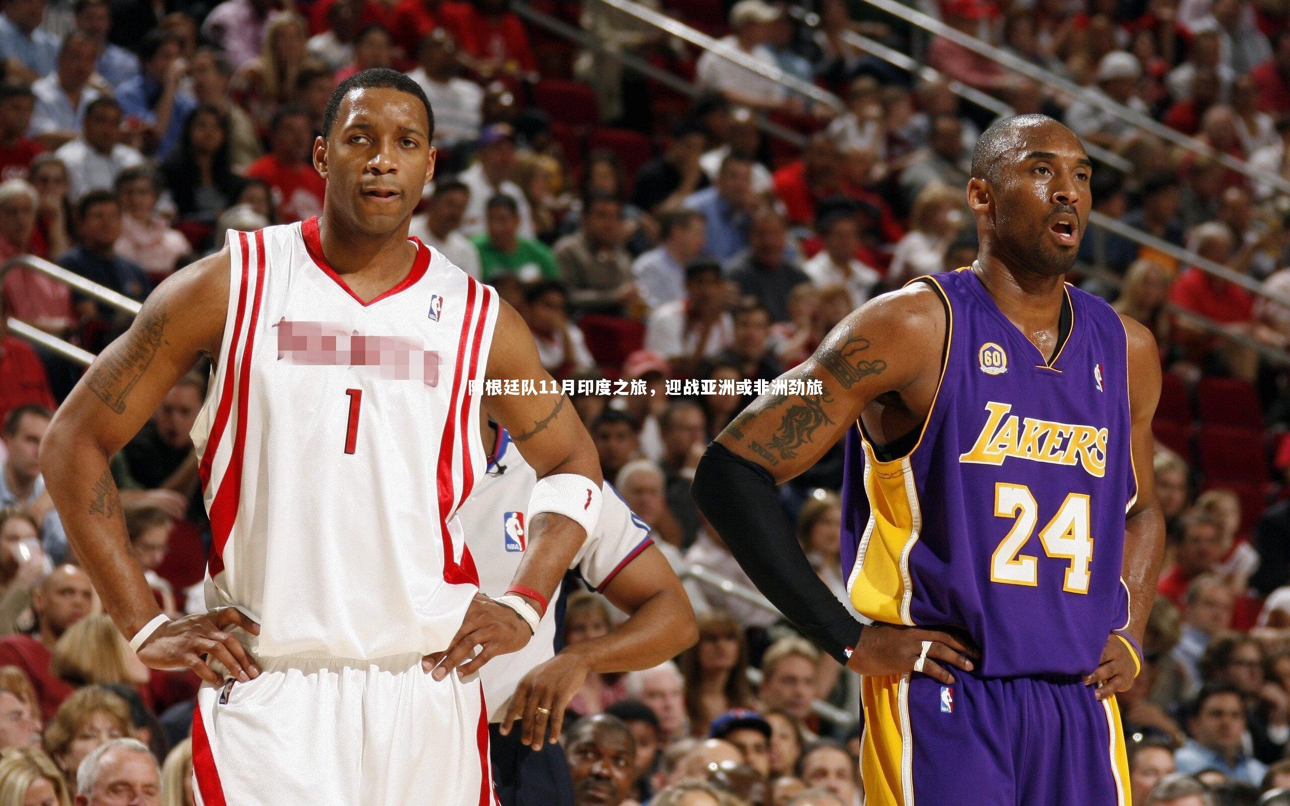 B体育官方网站_阿根廷队11月印度之旅，迎战亚洲或非洲劲旅